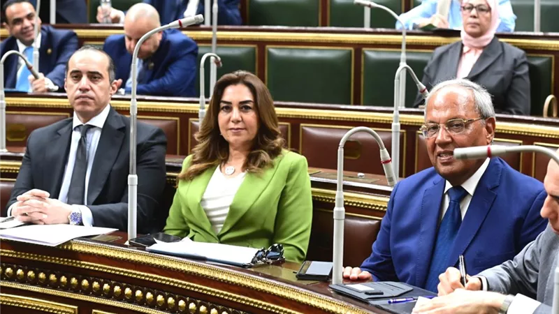 منال عوض: مركز المحاكاة المتكامل يعزز قدرات العاملين بالإدارة المحلية