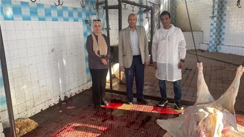حملات بيطرية مكثفة بدمياط لمتابعة المجازر وضمان سلامة اللحوم