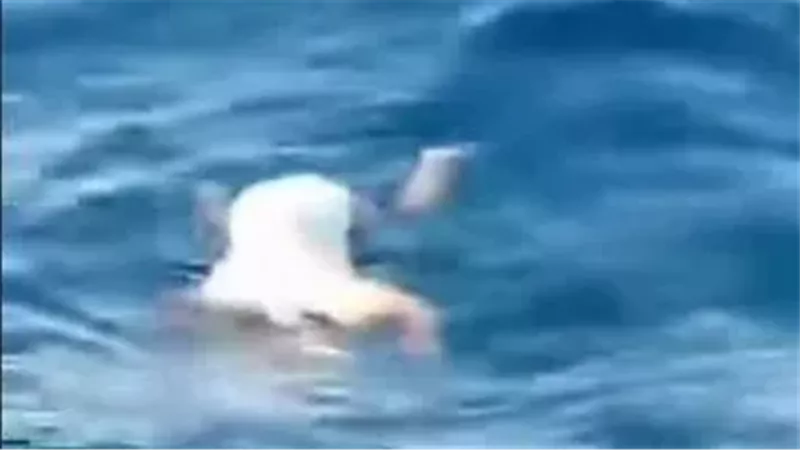 العثور على الطفلة مريم ميتة في البحر.. فيديو يثير جدلاً على مواقع التواصل