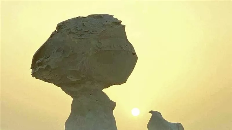 «عيون كبريتية وآثار كل العصور».. الوادي الجديد واحة الكنوز المنسية في مصر  