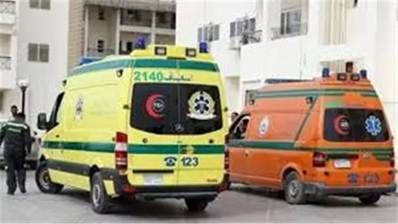 منعها من دخول فطعنته..  القصة الكاملة لواقعة تعدي فتاة علي فرد أمن 