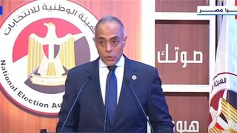 الهيئة الوطنية: انتخابات مجلس النواب بالخارج تسير بشكل منتظم في 134 مقرا