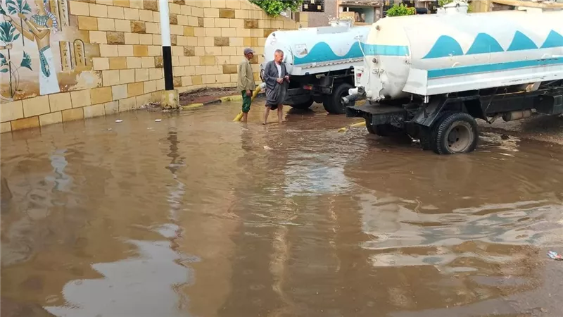 شاب في المنوفية يلقى مصرعه بسقوط شجرة خلال موجة الطقس السيئ