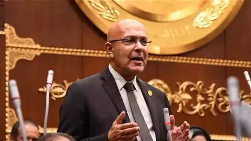 أحمد صبور: نجاح خطة خفض الأسعار مرهون ببناء شراكة حقيقية مع القطاع الخاص