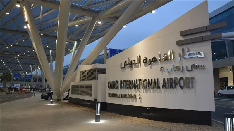 صقور الجمارك تحبط محاولة تهريب 300 عقرب وثعبان بمطار القاهرة