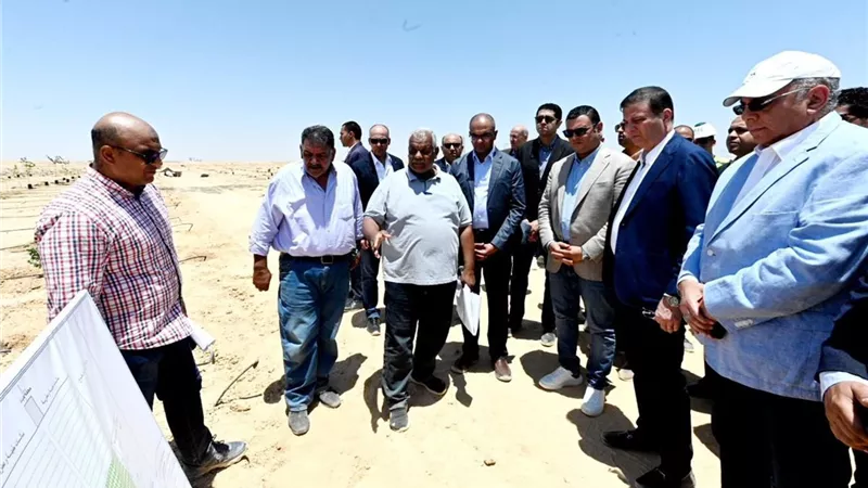 وزيرا الزراعة والإسكان: بدء تجارب استصلاح أراضي مدينة العلمين الجديدة  