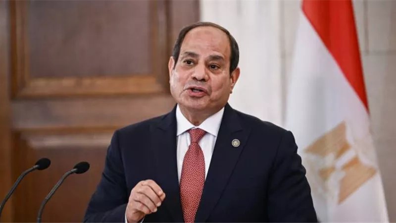 السيسي يشيد بجهود الرئيس الصومالي في تحقيق الاصطفاف الوطني ودعم الاستقرار