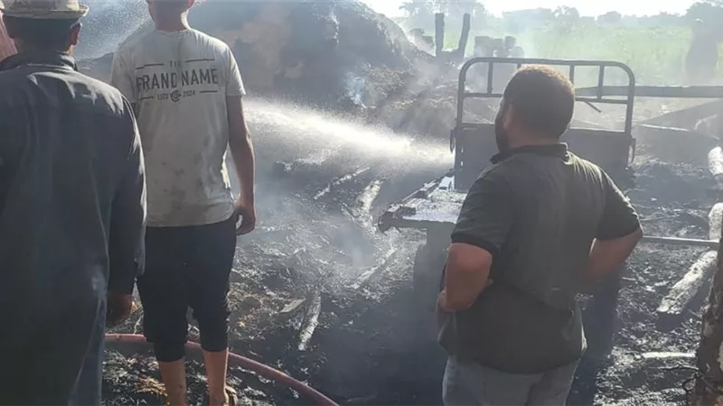 ماس كهربائي يتسبب في حريق بمزرعة مواشي بعزبة محارب بمحافظة الفيوم