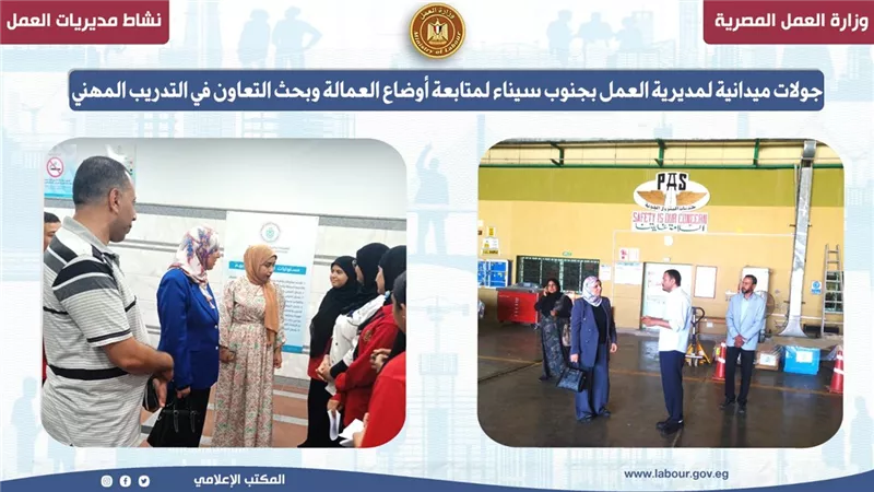 مديرية العمل بجنوب سيناء: متابعة أوضاع العمالة وبحث التعاون في التدريب المهني 