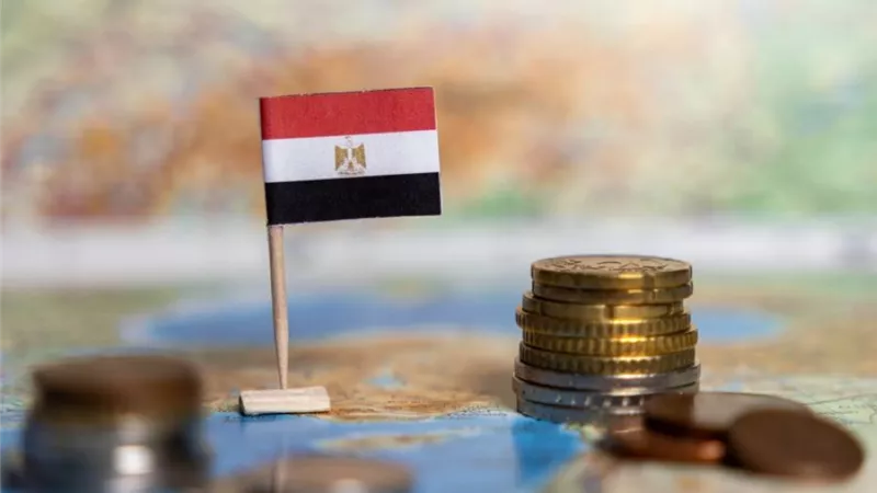 مؤشر مديري المشتريات بمصر يتراجع في يونيو لـ48.8 نقطة مع انخفاض الإنتاج والطلب