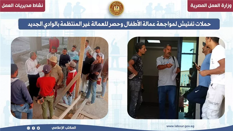 حملات تفتيش لمواجهة عمالة الأطفال وحصر العمالة غير المنتظمة بالوادي الجديد
