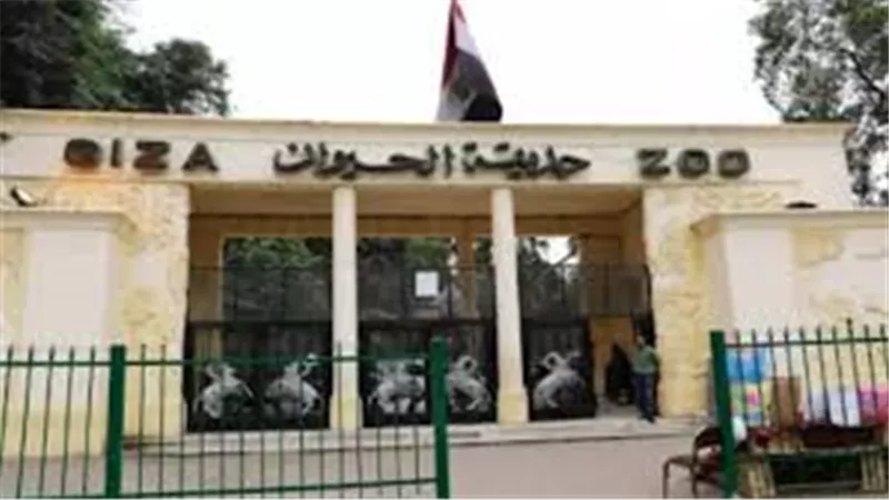 إعادة فتح حديقة الحيوان بالجيزة مع تحديثات مبتكرة في سبتمبر 2025