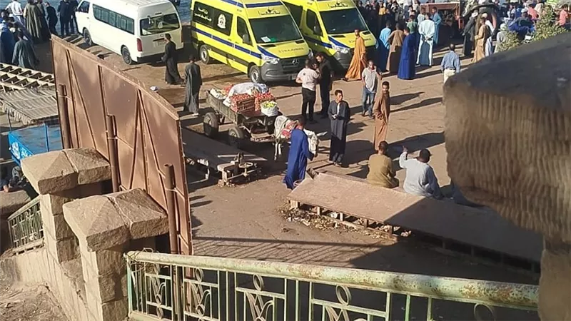 طارت من المعدية.. سقوط سيارة محملة ماشية في نهر النيل بقنا