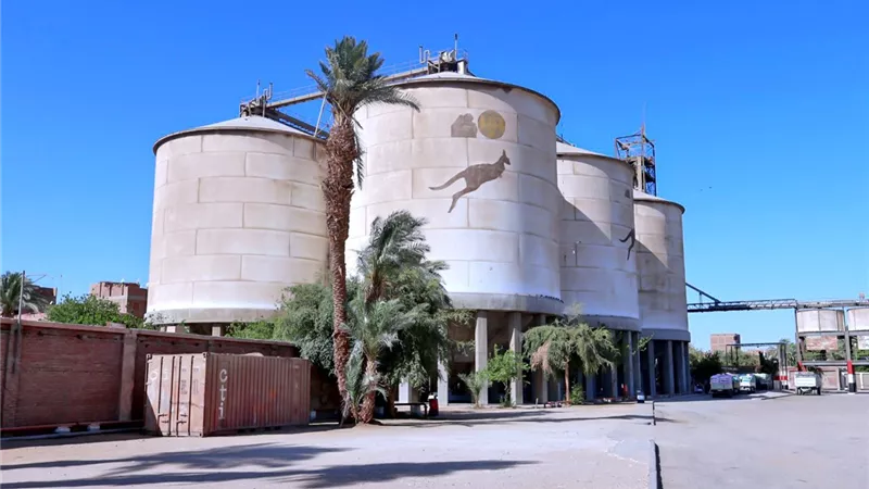 توريد أكثر من 1844 طن قمح للشون والصوامع خلال 4 أيام بسوهاج 