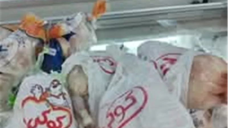 بالاشتراك مع الطب البيطري.. تموين القاهرة: ضبط طن لحوم ودواجن غير صالحة للآدمي