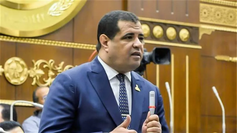 عضو بالشيوخ: كلمة السيسي تؤكد الثوابت المصرية الراسخة في دعم القضية الفلسطينية