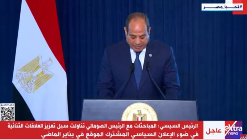 الرئيس السيسي: ناقشت مع نظيري الصومالي الأوضاع الأمنية في القرن الأفريقي