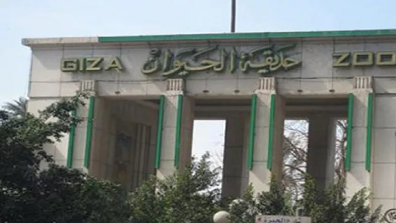 متحدث الزراعة: الحيوانات باقية ونُدخل أنواعًا جديدة وعرضها بطريقة عالمية