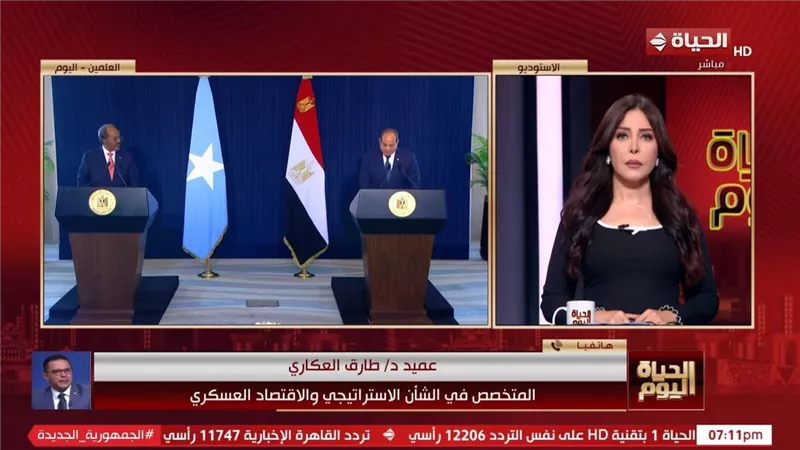 خبير استراتيجي: زيارة الرئيس السيسي إلى الصومال تؤكد أهمية التعاون الإقليمي