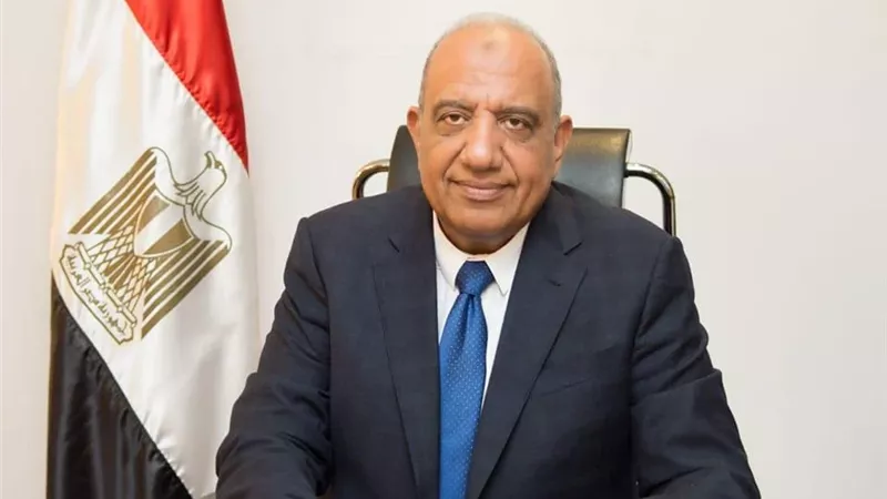 وزيرا الكهرباء وقطاع الأعمال يبحثان التعاون في مجالات تحسين كفاءة الطاقة 