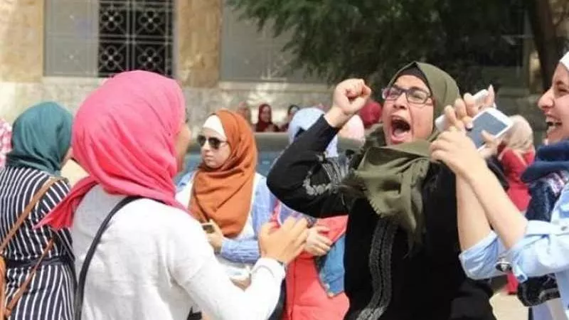 لطلاب الثانوية العامة دليل مبسّط لاختيارات الكليات.. كيف تحدد مستقبلك من الآن
