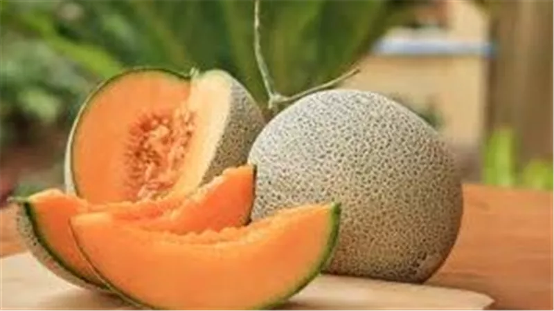 فوائد الشمام في الصيف لا تُقدّر بثمن.. تعرف عليها الآن لاينشر