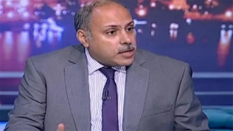 أستاذ علوم سياسية: مصر تتحرك بقوة لحماية الأمن القومي في السودان وليبيا