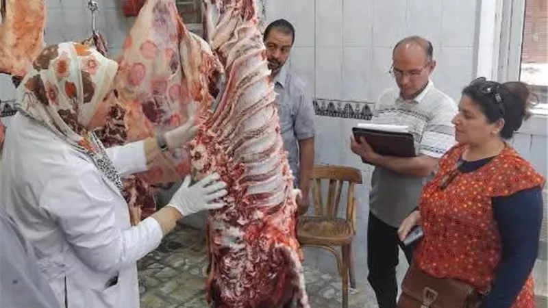 الطب البيطري بالسويس.. جهد متكامل لحماية الصحة العامة وتنمية الثروة الحيوانية