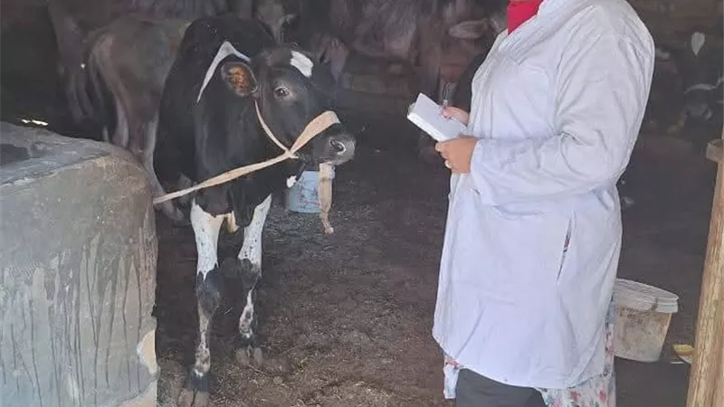 مجهودات مستمرة  لمديرية الطب البيطري بالسويس لحماية وتنمية الثروة الحيوانية