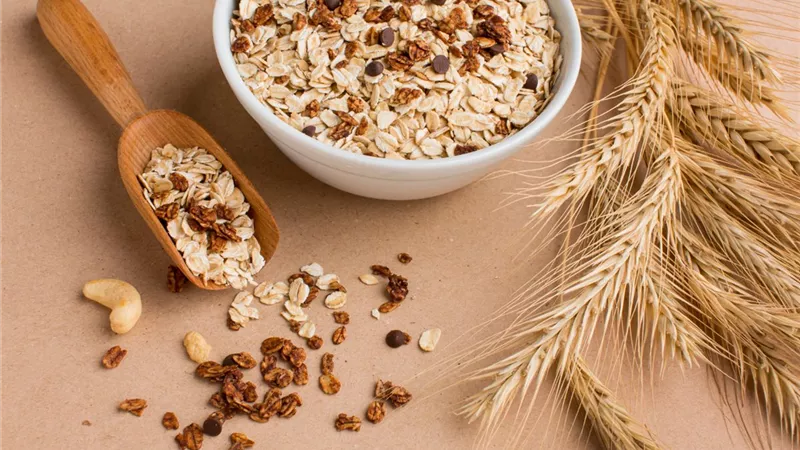 أسهل طرق تحضير الشوفان لفطور صحي مشبع ومغذي..بالتفاصيل