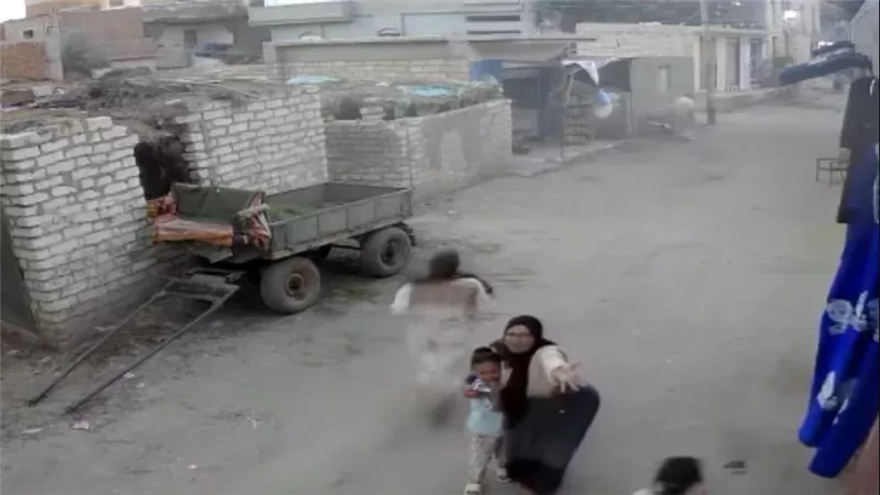 إصابة شخصين إثر حدوث شرز كهربائي فى كابل خطوط الضغط العالي بقرية عليم بالشرقية