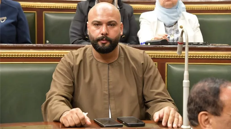 إبراهيم الديب: مؤتمر حل الدولتين فرصة تاريخية لإعادة الزخم للقضية الفلسطينية