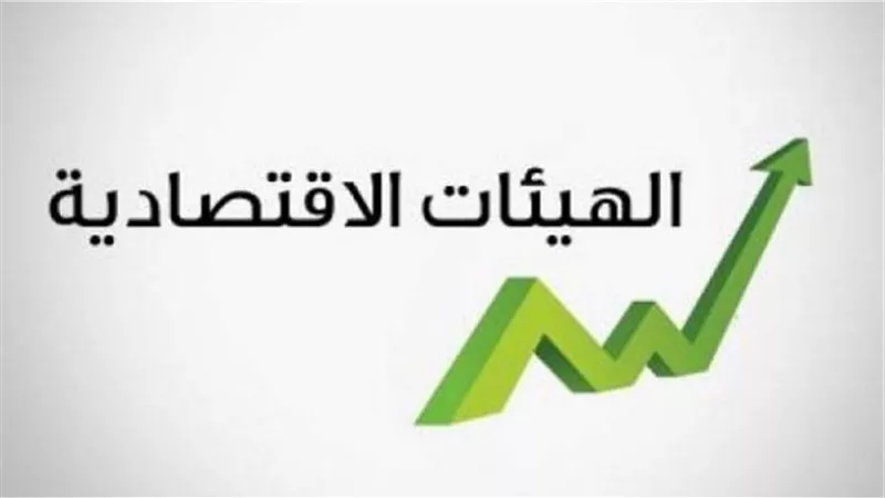 9.1٪ زيادة برأس المال المدفوع  للهيئات الاقتصادية عام 2023/2024