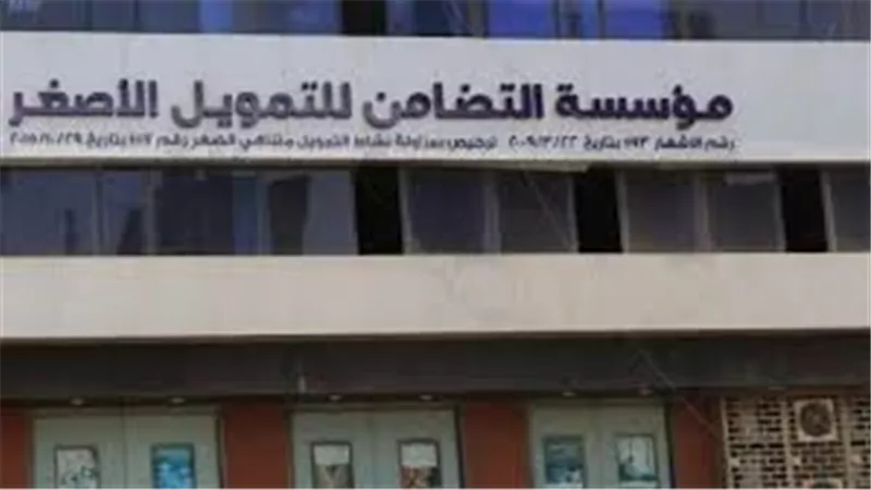 مؤسسة التضامن للتمويل الأصغر تتفق مع بنك مصر على زيادة التسهيلات الائتمانية 