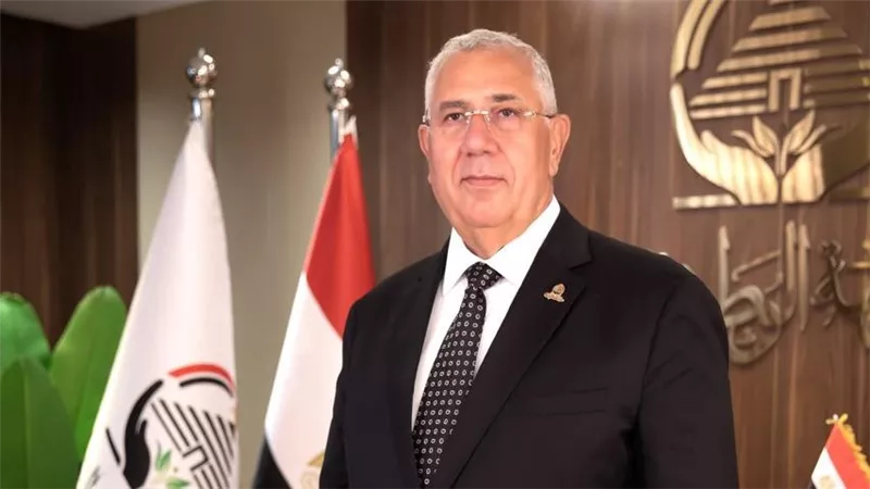 غرفة عمليات الجبهة الوطنية تكثف الجهود لدعم مرشحي الحزب قبل انتخابات الشيوخ