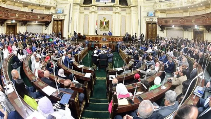 برلمانيون لنيوز رووم : حجب التيك توك ضرورة حتمية حال في هذه الحالة