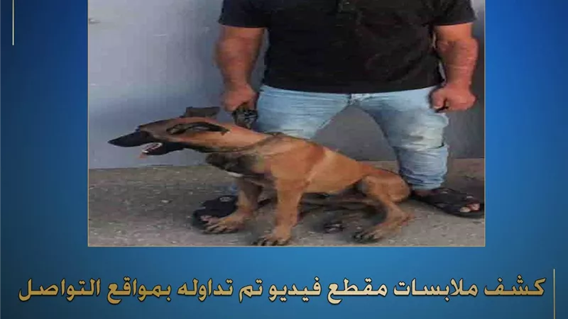 الأمن يكشف تفاصيل واقعة استغلال كلب في إرهاب مواطن بالدقهلية