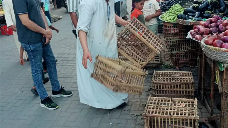 طهطا تواصل حملات إزالة الإشغالات وتحسين السيولة المرورية |صور