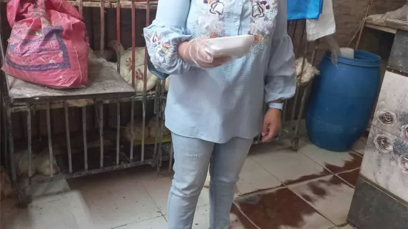 ضبط 229 كيلو لحوم فاسدة وتحرير 3 محاضر في حملات مكثفة بالسويس