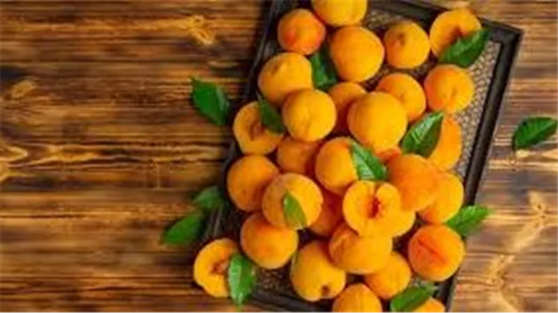 فوائد المشمش لصحة القلب لا تُقدّر بثمن.. تعرف عليها الآن 