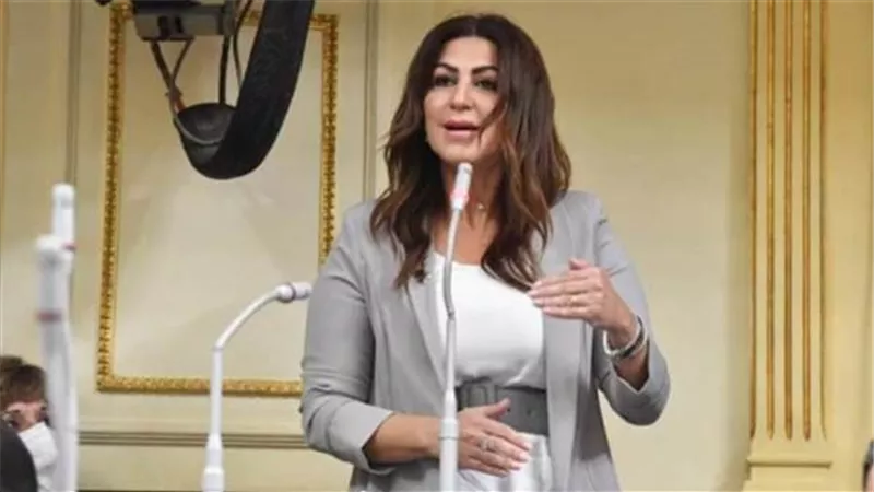 دينا عبدالكريم: «الأعلى للثقافة» مجلس شرفي ولا يملك سلطة تنفيذية أو تشريعي