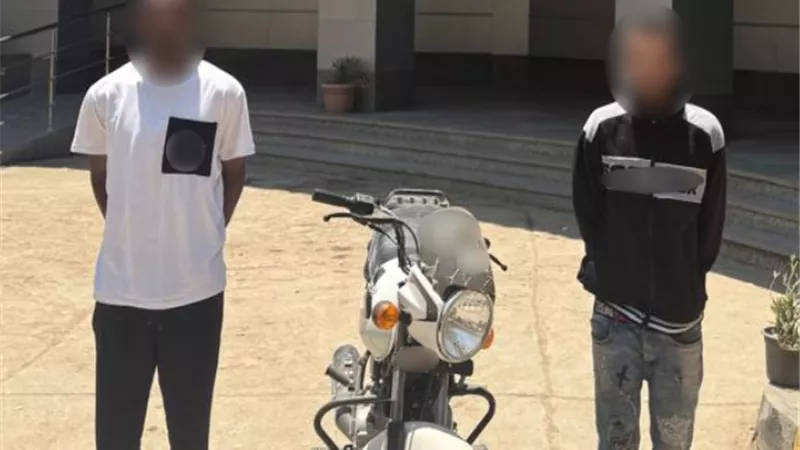 بسبب كيس بلاستيكي على اللوحات.. ضبط شخصين بالقاهرة بعد تداول فيديو