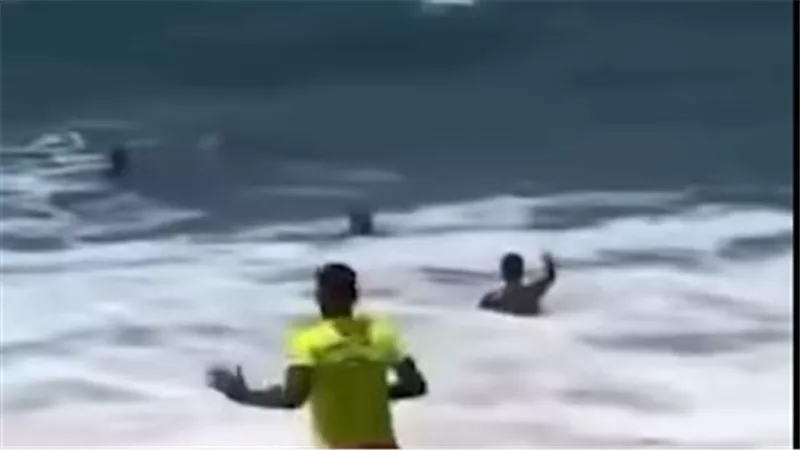 خطر السواحل أزمة عالمية.. منقذ يترك مقابلة تلفزيونية ليهرع لإنقاذ غريق| فيديو