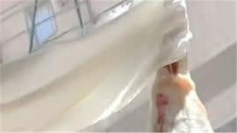 ضبط 250 كجم من اللحوم والدواجن غير الصالحة ومجهولة المصدر بكفر الشيخ 