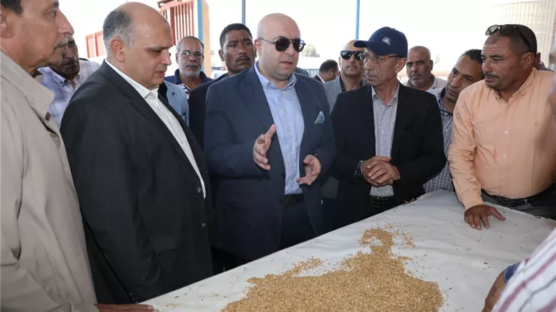 محافظ بني سويف يوجه بدراسة وتقييم منظومة توريد القمح