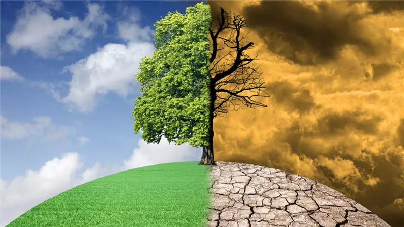 مستشار تنمية مستدامة: التغيرات المناخية تؤثر على صحة الإنسان ومدى تكيفه معها