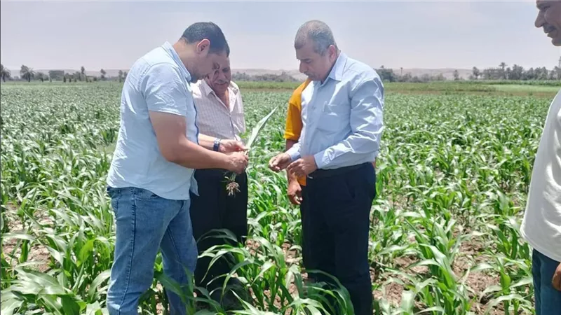 محافظ أسيوط يشدد على تكثيف متابعة الزراعات وتقديم الدعم للمزارعين