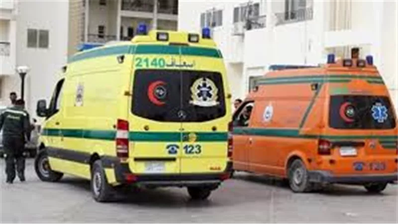 بالأسماء.. ننشر حالة 21 مصابا في انقلاب ميكروباص بالإسماعيلية 
