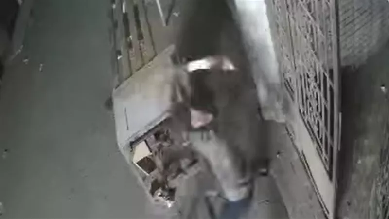 الكاميرا صورته.. تعدى أحد الأشخاص بـ