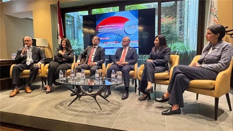 فريد: قصة إصلاح القطاع المالي غير المصرفي تتيح فرص استثمارية في أنشطة مختلفة